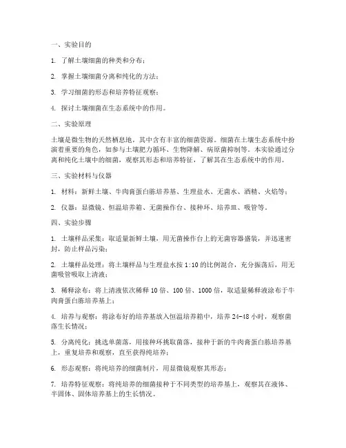 土壤细菌实验报告