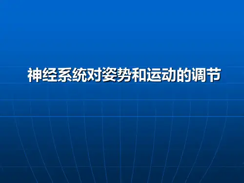 神经系统对躯体运动功能的调节