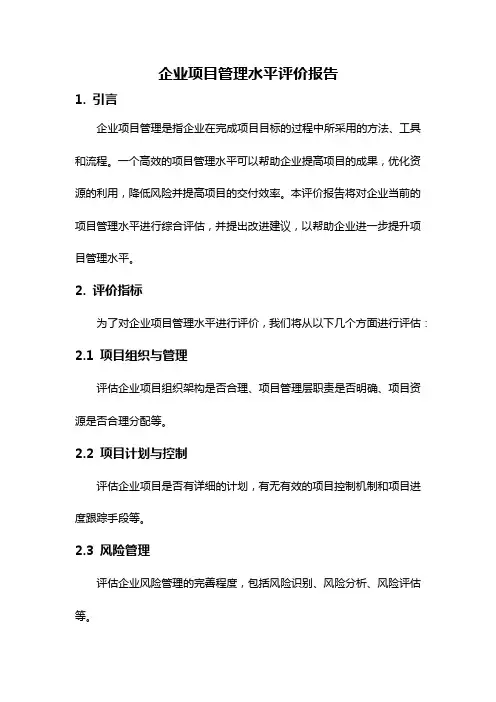 企业项目管理水平评价报告