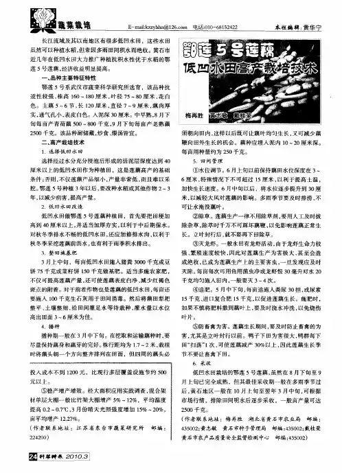 鄂莲5号莲藕低凹水田高产栽培技术