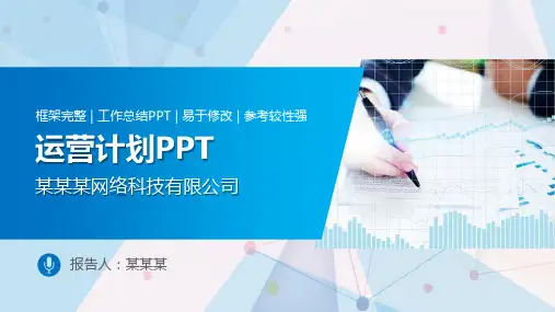 【新】京东卖家运营计划ppt