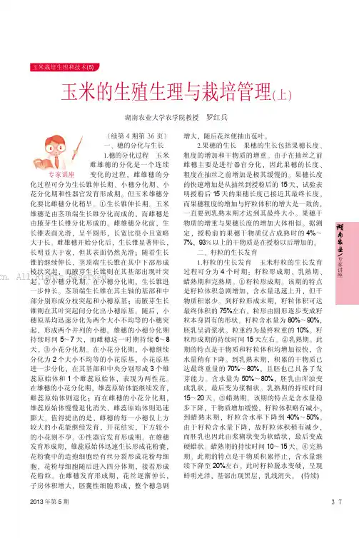 玉米的生殖生理与栽培管理(上)