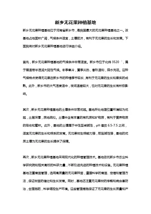 新乡无花果种植基地