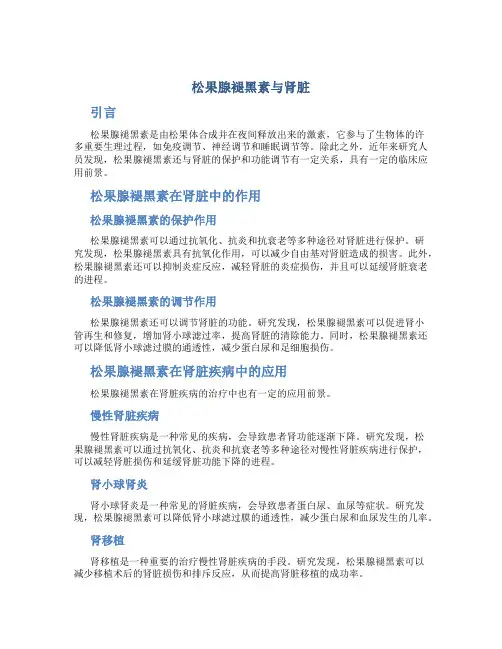 松果腺褪黑素与肾脏