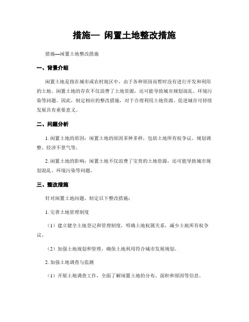 措施— 闲置土地整改措施