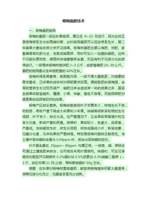 杨梅施肥技术