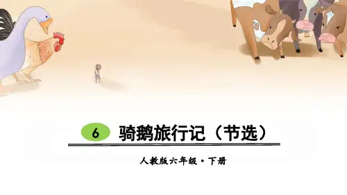 部编人教版六年级语文下册第6课《骑鹅旅行记》优秀课件
