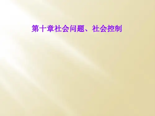 第十章社会问题、社会控制