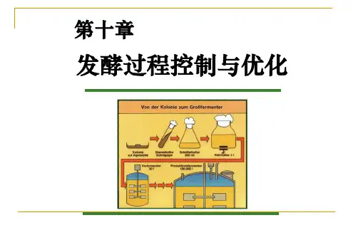 发酵过程控制与优化
