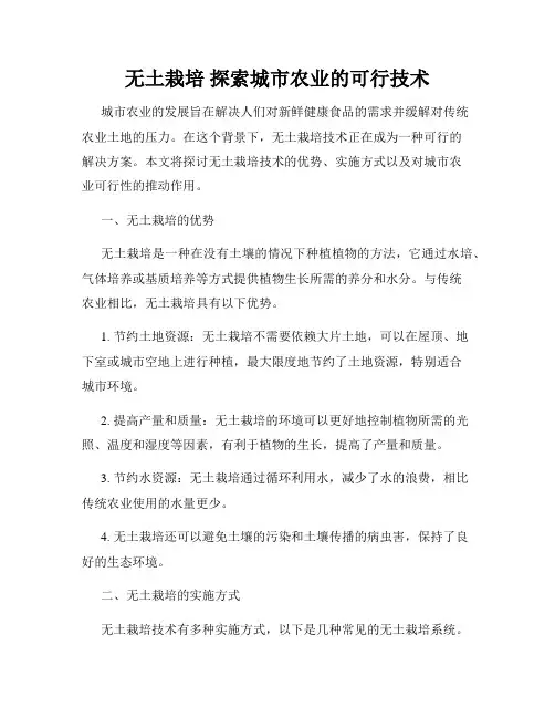 无土栽培 探索城市农业的可行技术