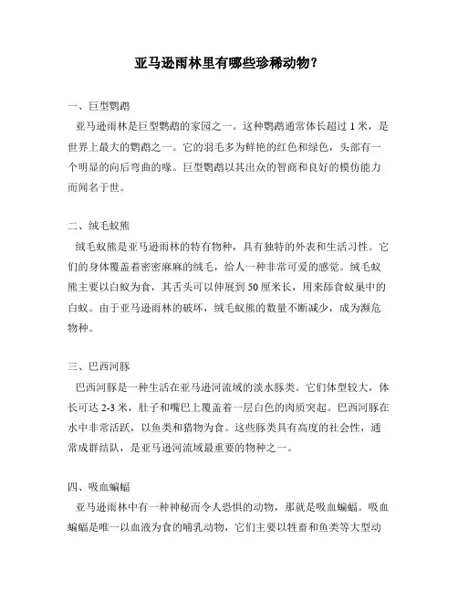 亚马逊雨林里有哪些珍稀动物？