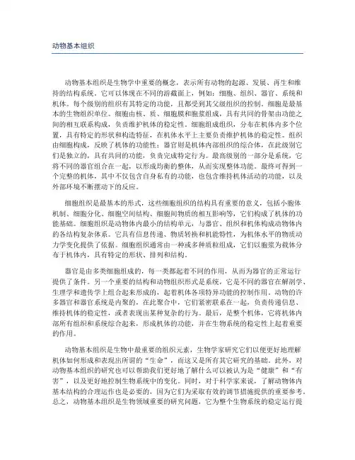 动物基本组织