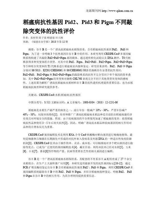 稻瘟病抗性基因Pid2、Pid3和Pigm不同敲除突变体的抗性评价