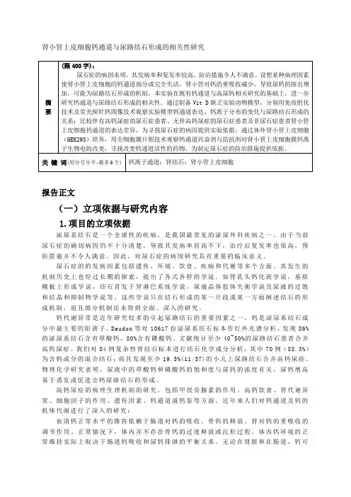 中标国家自然科学基金标书部分内容