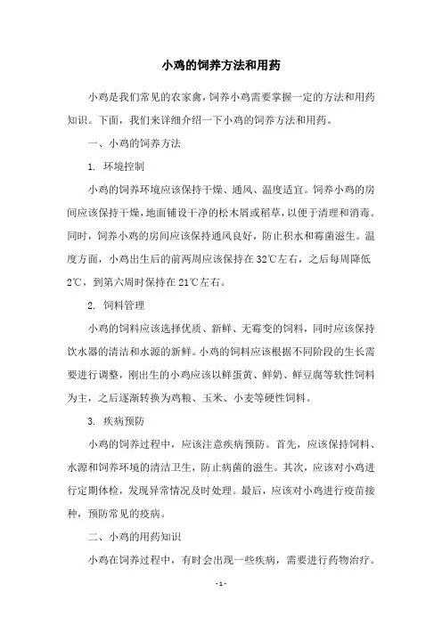 小鸡的饲养方法和用药