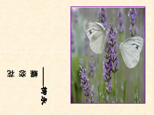 高一语文上册柳永《蝶恋花》ppt课件