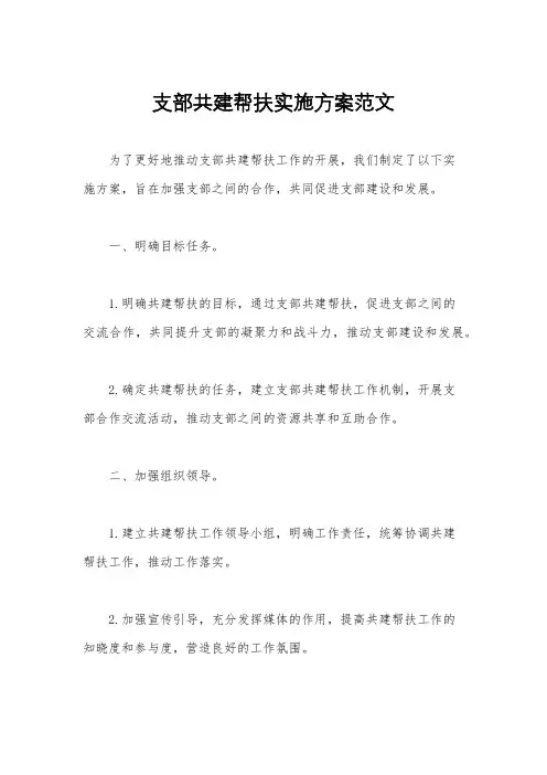 支部共建帮扶实施方案范文