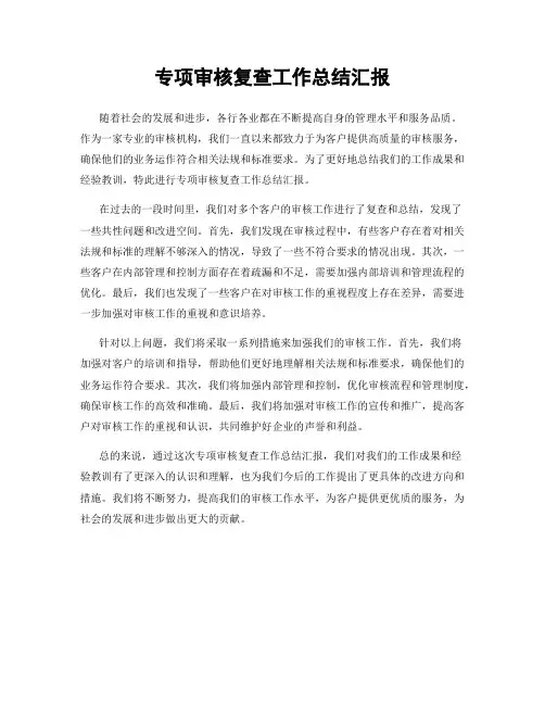 专项审核复查工作总结汇报