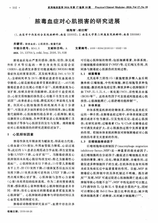 脓毒血症对心肌损害的研究进展
