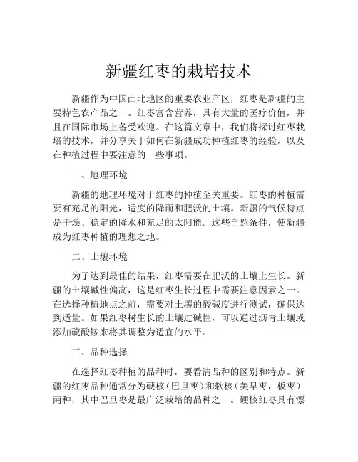 新疆红枣的栽培技术