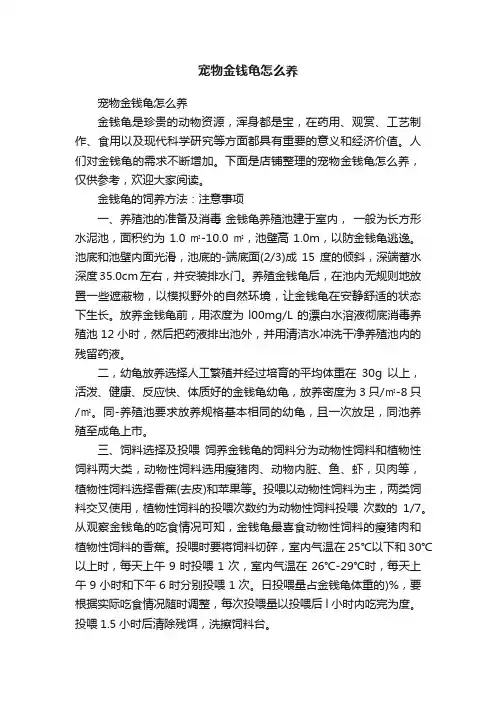 宠物金钱龟怎么养