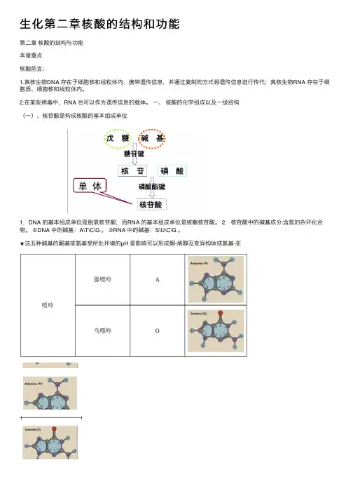 生化第二章核酸的结构和功能