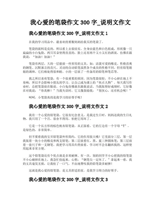 我心爱的笔袋作文300字说明文作文
