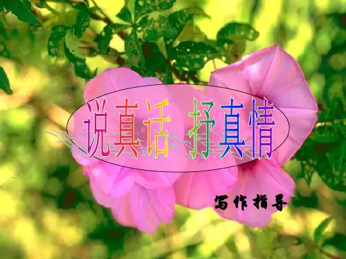说真话诉真情 写作指导
