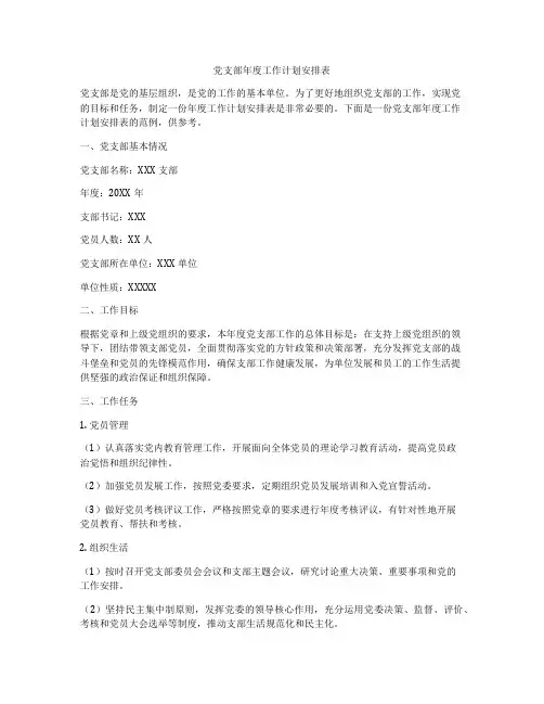 党支部年度工作计划安排表