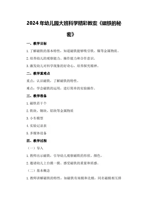 2024年幼儿园大班科学精彩教案《磁铁的秘密》