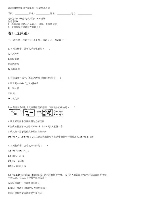 2022-2023学年人教版九年级下化学普通考试含答案及解析053139.pdf)
