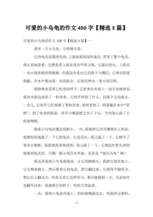 可爱的小乌龟的作文450字【3篇】