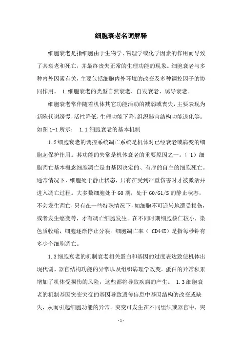 细胞衰老名词解释