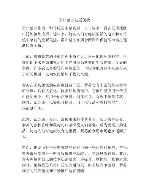 贵州紫苏发展现状