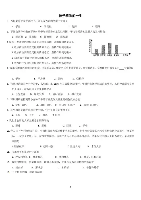 被子植物的一生  练习