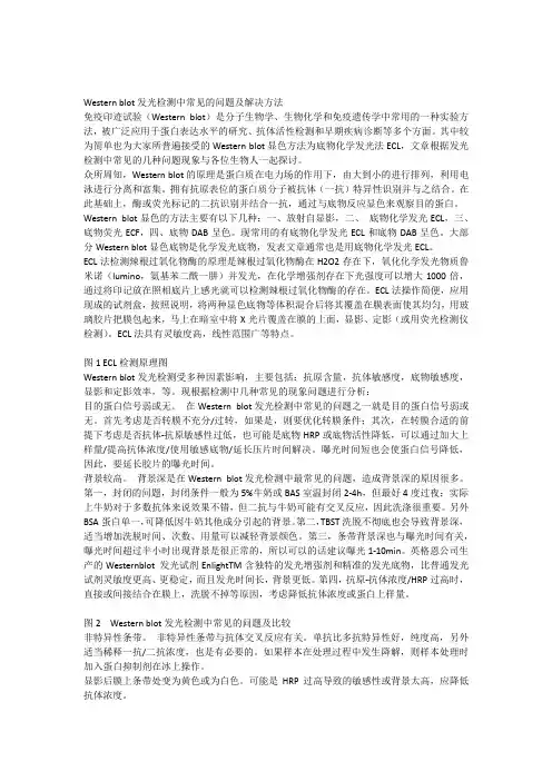 Westernblot发光检测中常见的问题及解决方法