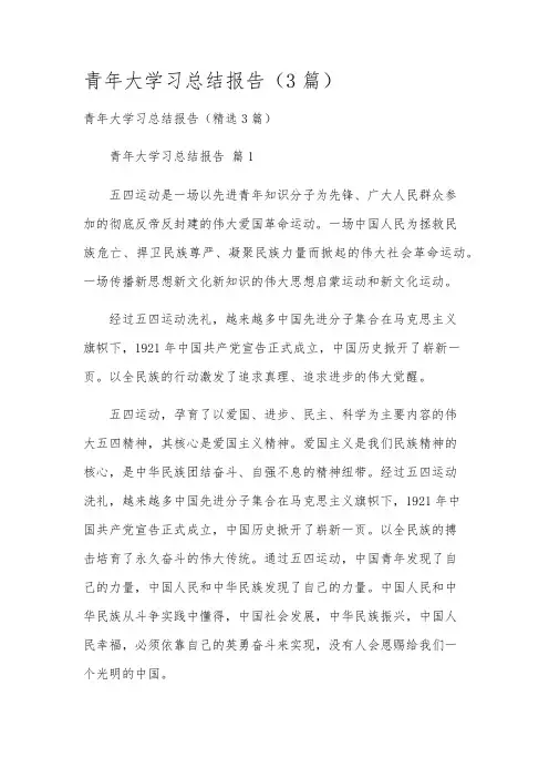 青年大学习总结报告(3篇)