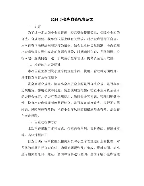 2024小金库自查报告范文