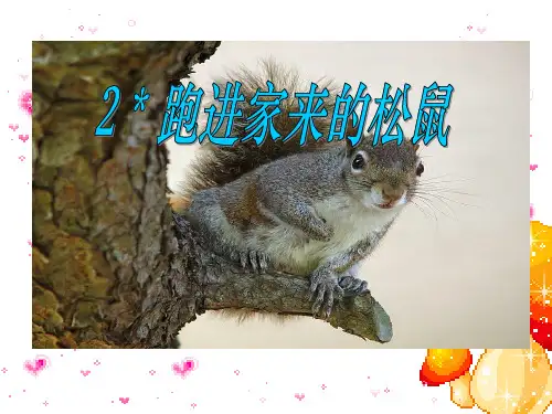 跑进家来的松鼠