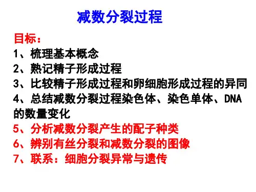 2016高三一轮复习--减数分裂