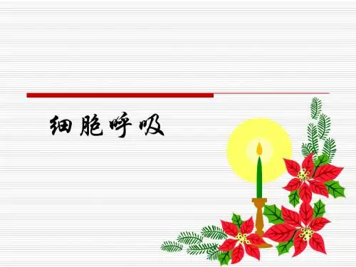 5.3ATP的主要来源——细胞呼吸