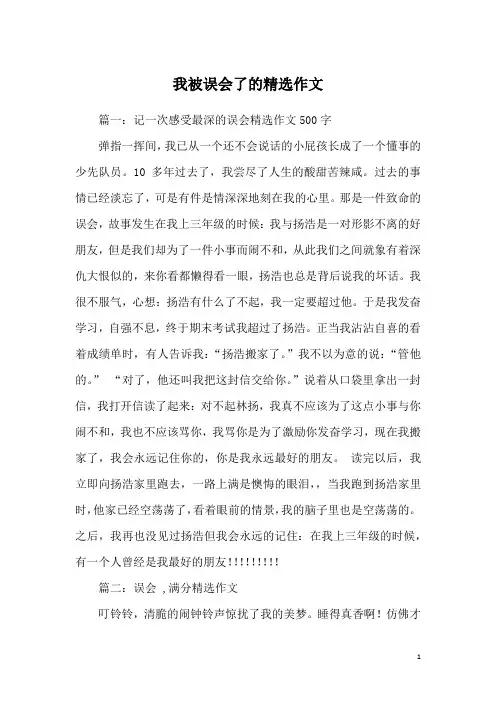 我被误会了的精选作文