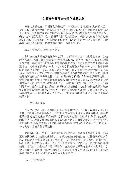 引领青年教师走专业化成长之路