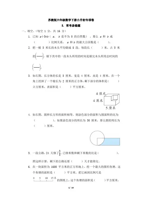 苏教版六年级数学下册小升初专项卷  常考易错题 附答案