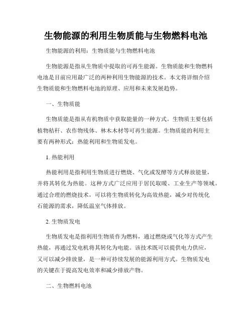 生物能源的利用生物质能与生物燃料电池