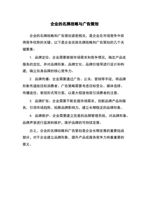企业的名牌战略与广告策划