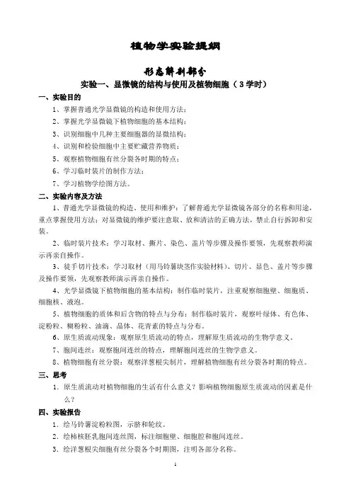 植物学实验提纲
