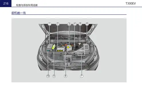 T300EV用户使用手册3