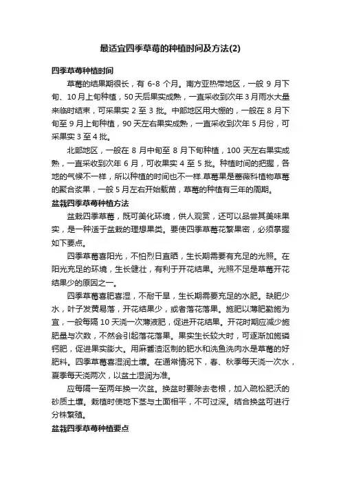 最适宜四季草莓的种植时间及方法（2）