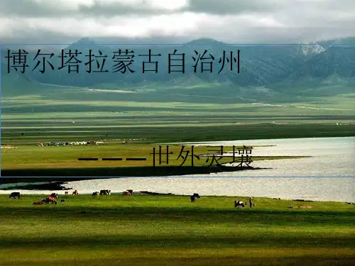 博尔塔拉